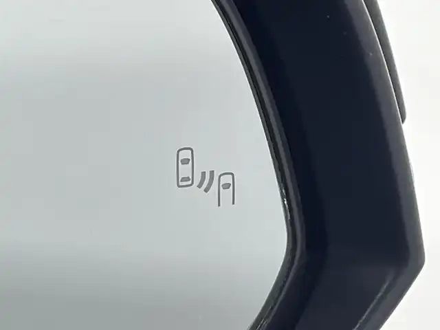 トヨタ アルファード S Cパッケージ 大阪府 2019(令1)年 4.8万km ブラック サンルーフ 黒革シート TRDエアロ ALPINE11incナビTV フリップダウンモニター デジタルインナーミラー パワーシート/ヒーター/エアコン ハンドルヒーター 電動リアゲート レーダーC 衝突軽減B レーンアシスト BSM