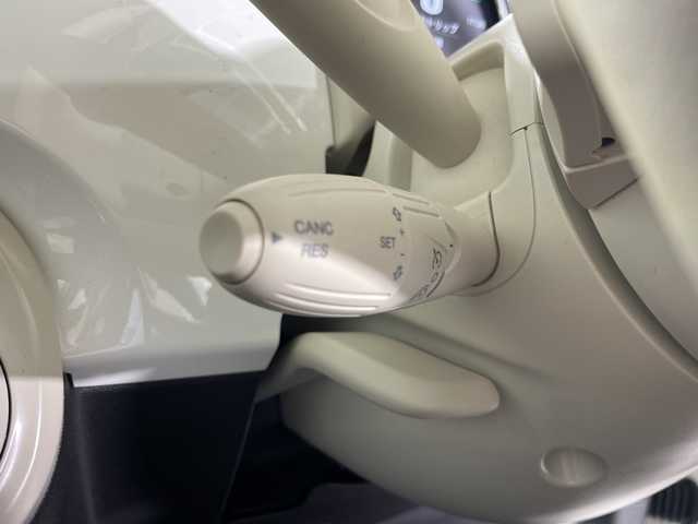 フィアット フィアット ５００Ｃ ツインエア ドルチェヴィータ 神奈川県 2024(令6)年 0.6万km 白 純正ディスプレーオーディオ/AM FM Bluetooth　USB/赤幌電動開閉ソフトトップ/ターボ/クルーズコントロール/革巻きステアリング/パドルシフト/ハーフレザーシート/前席USB電源ソケット/ETC/リアパーキングセンサー/ESP/EECO/純正15インチアルミホイール