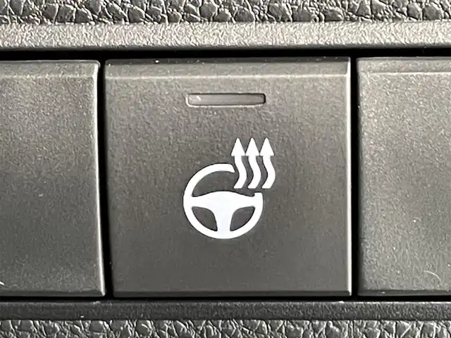 トヨタ ＧＲカローラ RZ 愛知県 2024(令6)年 0.1千km プラチナホワイトパールマイカ 純正１０．５インチディスプレイ/ＪＢＬプレミアムサウンド/衝突軽減ブレーキ/レーダークルーズコントロール/ブラインドスポットモニター/クリアランスソナー/先行車発進告知/ヘッドアップディスプレイ/ハンドルヒーター/シートヒーター/ハーフレザーシート/バックカメラ/ビルトインＥＴＣ２．０/アクセサリーソケット/USB入力端子/ISOFIX/純正フロアマット/純正18インチアルミホイール