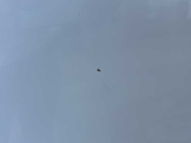 ホンダ ヴェゼル ハイブリッド X 静岡県 2014(平26)年 10.1万km ホワイトオーキッドパール 純正メモリナビ/・CD/・DVD/・ワンセグＴＶ/・Bluetooth/・USB/・HDMI/・iPod/・AM/・FM/主要装備/・衝突軽減/・レーンキープ/・クルコン/・バックカメラ/・ETC/・パドルシフト/・ステリモ/・電動パーキングブレーキ/・オートホールド/・LEDヘッドライト/・オートライト/・オートハイビーム/・フォグランプ/・スマートキー/・プッシュスタート/・純正フロアマット/・純正アルミホイール