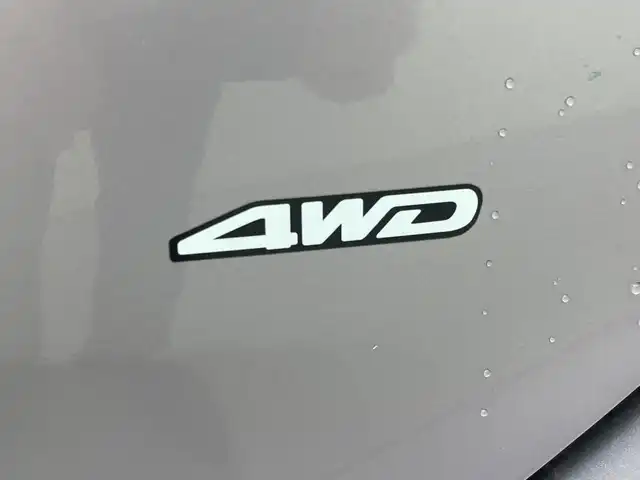 トヨタ パッソ X 群馬県 2013(平25)年 5.7万km グレイッシュパープルメタリックオパール ４ＷＤ　純正オーディオ　ＣＤ　ラジオ　ハロゲンヘッドライト　ヘットライトレベライザー　電動格納ミラー　社外アルミホイール　純正フロアマット　バニティミラー　ＡＢＳ ドアバイザー リモコンキー 禁煙車