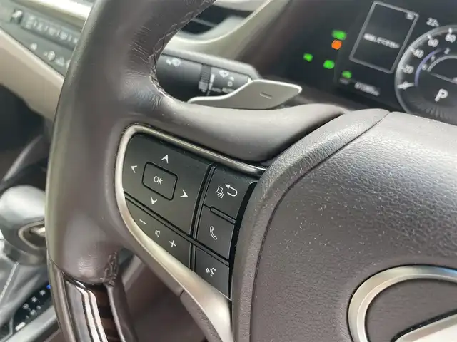 レクサス ＥＳ 300h バージョンL 富山県 2019(平31)年 6.2万km ソニッククォーツ サンルーフ/白革/パノラミックビューモニター/メーカーナビ/フルセグＴＶ/Bluetooth/ＤＶＤ再生/ビルトインＥＴＣ2.0/パワーバックドア/全席パワーシート/全席シートヒーター/前席エアシート/ステアリングヒーター/スマートキー/プッシュスタートエンジン/セーフティセンス/レーダークルーズコントロール/レーンキープアシスト/オートマチックハイビーム/ＡＣ１００Ｖ電源/ＭＴモード付ＡＴ/パドルシフト