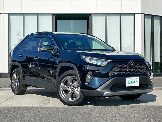 トヨタ,ＲＡＶ４,G,純正7型ナビ TV ETC BSM 電動リア Bカメラ,2020年式