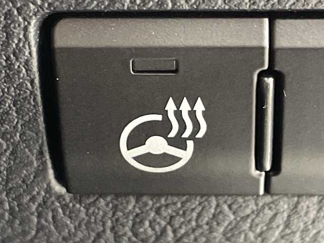 レクサス ＲＸ 300 バージョンL 群馬県 2021(令3)年 4.8万km パール 純正メモリナビ　禁煙車　レーダークルーズコントロール　パワーバックドア　アラウンドビューモニター　サンルーフ　全席パワーシート　フォグランプ　LEDライト　プッシュスタート　ハンドルヒーター