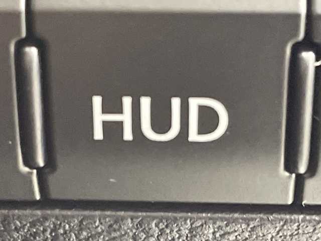 レクサス ＲＸ 300 バージョンL 群馬県 2021(令3)年 4.8万km パール 純正メモリナビ　禁煙車　レーダークルーズコントロール　パワーバックドア　アラウンドビューモニター　サンルーフ　全席パワーシート　フォグランプ　LEDライト　プッシュスタート　ハンドルヒーター