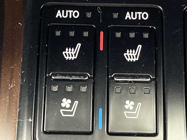 レクサス ＲＸ 300 バージョンL 群馬県 2021(令3)年 4.8万km パール 純正メモリナビ　禁煙車　レーダークルーズコントロール　パワーバックドア　アラウンドビューモニター　サンルーフ　全席パワーシート　フォグランプ　LEDライト　プッシュスタート　ハンドルヒーター