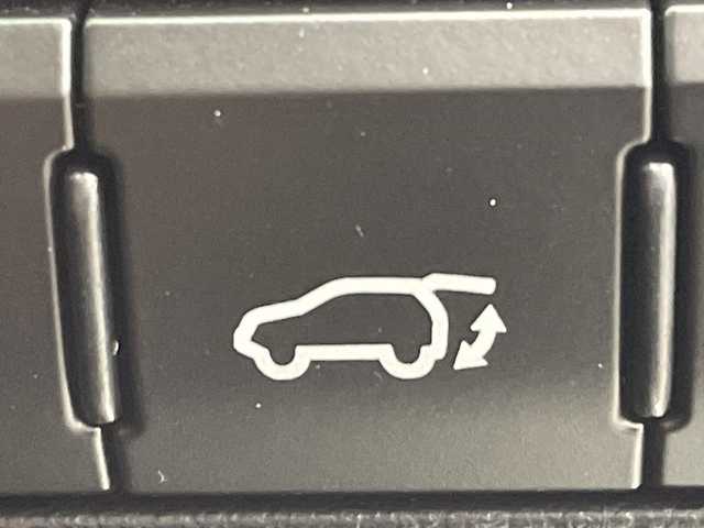 レクサス ＲＸ 300 バージョンL 群馬県 2021(令3)年 4.8万km パール 純正メモリナビ　禁煙車　レーダークルーズコントロール　パワーバックドア　アラウンドビューモニター　サンルーフ　全席パワーシート　フォグランプ　LEDライト　プッシュスタート　ハンドルヒーター