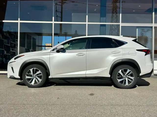 レクサス ＮＸ 300 Iパッケージ 富山県 2017(平29)年 9.9万km 白 純正SDナビ/Bluetooth接続/フルセグTV/AM/FMラジオ/Miracast/CD再生/バックカメラ/サンルーフ/ＡＣＣ/パワーバックドア/ドラレコ/D/N席パワーシート/D/N席シートヒーター/ステアリングヒーター/オートハイビーム/オートホールド/ETC2.0/横滑り防止/アイドリングストップ/車線逸脱防止