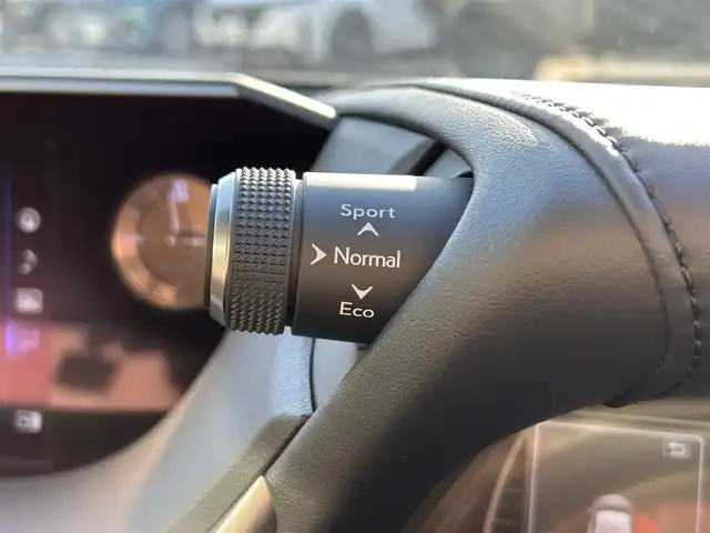 レクサス ＥＳ 300h バージョンL 愛媛県 2019(平31)年 5.4万km グラファイトブラックガラスフレーク サンルーフ/純正12.3インチナビ（Bluetooth/フルセグTV）/アラウンドビューモニター/D+N席パワーシート/D＋N席シートヒーター/D＋N席シートベンチレーション/ステアリングヒーター/革シート/ドライブレコーダー/ビルトインETC2.0/アダクティブクルーズコントロール/ブラインドスポットモニター/ヘッドアップディスプレイ/衝突被害軽減ブレーキ/レーンキープアシストシステム/パドルシフト/シートメモリー機能/純正18インチアルミホイール/前後コーナーセンサー/LEDヘッドライト/オートライト/フォグランプ/オートマチックハイビーム/100V電源/電動格納ウィンカーミラー/純正フロアマット/スマートキー/プッシュスタート