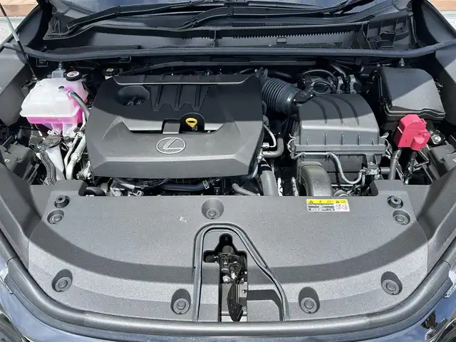 レクサス ＬＢＸ モリゾウ RR 滋賀県 2024(令6)年 0.5万km グラファイトブラックガラスフレーク ガソリン/4WD(F4)/6速MT/マークレビンソン/９．８インチ純正ディスプレイオーディオ/(FM/AM/フルセグ/Bluetooth/USB)/ＥＴＣ２．０/前後ドライブレコーダー/パノラミックビューモニター/バックカメラ/ＬｅｘｕｓＳａｆｅｔｙＳｙｓｔｅｍ＋/・プリクラッシュブレーキアシスト	/・レーンキープアシスト	/・レーダークルーズコントロール/・ブラインドスポットモニター（ＢＳＭ）/・安心降車アシスト（ドアオープン制御付）（ＳＥＡ）/・リヤクロストラフィックアラート（ＲＣＴＡ）/自動防眩ミラー/運転席・助手席シートヒーター/電動リアゲート/電動格納ミラー/革巻きステアリング/ステアリングスイッチ/ステアリングヒーター/オートライト/ＬＥＤヘッドライト/オートマチックハイビーム/フルオートエアコン/プッシュスタート/スマートキー/スペアキー/カードキー/純正フロアマット