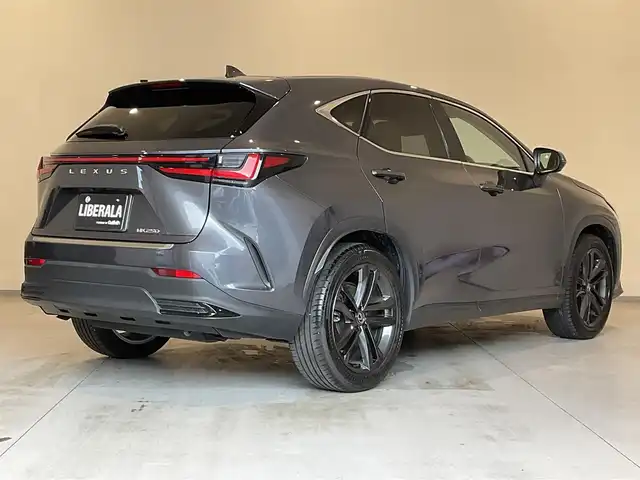レクサス ＮＸ 250 バージョンL 熊本県 2023(令5)年 1万km ソニッククロム ・ワンオーナー/・スマートキー/・プッシュスタート/・プリクラッシュセーフティ/・ロードサインアシスト/・前後クロストラフィックアラート/・レーンデパーチャーアラート/・レーンチェンジアシスト/・ブラインドスポットモニター/・プロアクティブドライビングアシスト/・パーキングサポートブレーキ/・安心降車アシスト/・オートハイビーム/・クルーズコントロール(追従式)/・純正メモリナビ/　【Bluetooth・USB】/・フルセグTV/・全方位カメラ/・ETC2.0/・ドライブレコーダー(前後録画)/・パワーバックドア/・LEDヘッドランプ/・LEDフォグランプ/・純正マット/・保証書/取説