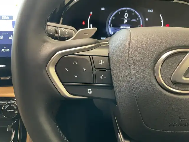 レクサス ＮＸ 250 バージョンL 熊本県 2023(令5)年 1万km ソニッククロム ・ワンオーナー/・スマートキー/・プッシュスタート/・プリクラッシュセーフティ/・ロードサインアシスト/・前後クロストラフィックアラート/・レーンデパーチャーアラート/・レーンチェンジアシスト/・ブラインドスポットモニター/・プロアクティブドライビングアシスト/・パーキングサポートブレーキ/・安心降車アシスト/・オートハイビーム/・クルーズコントロール(追従式)/・純正メモリナビ/　【Bluetooth・USB】/・フルセグTV/・全方位カメラ/・ETC2.0/・ドライブレコーダー(前後録画)/・パワーバックドア/・LEDヘッドランプ/・LEDフォグランプ/・純正マット/・保証書/取説