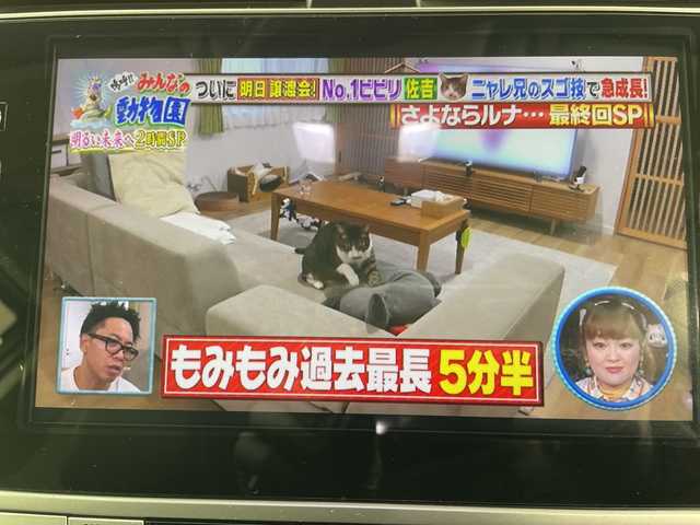 トヨタ ランドクルーザー プラド TX Lパッケージ 道央・札幌 2021(令3)年 4.3万km ブラック ・4WD/寒冷地仕様/・メーカー9インチナビ  フルセグ/BT/・パノラミックビューモニター/・サンルーフ/・モデリスタエアロ(F.R)/・フロントグリルガーニッシュ/・レーダークルーズコントロール/・レザーシート/・ブラインドスポットモニター/・シートヒーター/・純正一体型エンジンスターター/・コーナーセンサー/・電動格納サードシート/・レーンキープアシスト/・横滑り防止/・ETC/・純正フロアマット/・オートマチックハイビーム