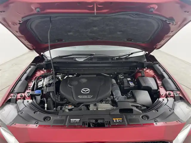 マツダ ＣＸ－５ XD エクスクルーシブモード 大分県 2019(平31)年 4.6万km ソウルレッドクリスタルM 衝突軽減ブレーキ/レーンアシスト/オートハイビーム/レーダークルーズコントロール/純正ナビ/（フルセグ/CD/DVD/Bluetooth）/全方位カメラ/BOSE/レザーシート/前席パワーシート/前席シートヒーター・ベンチレーションシート/ステアリングヒーター/電動パーキングブレーキ/オートブレーキホールド/パワーバックドア/ダムドエアロ/（フロント/サイド/リア）/純正アルミホイール