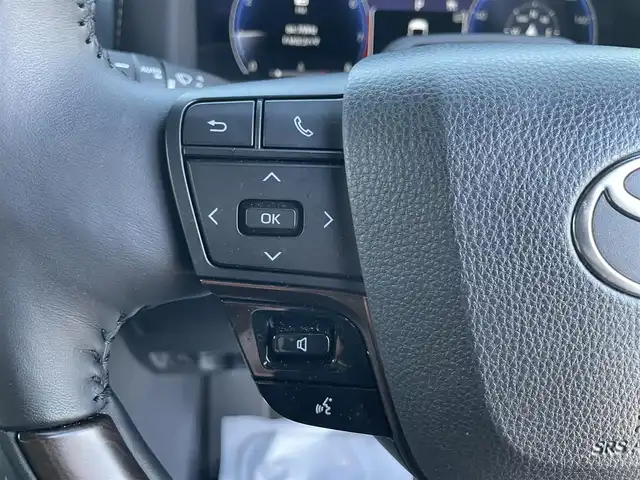 トヨタ アルファード Z 神奈川県 2023(令5)年 0.9万km パール