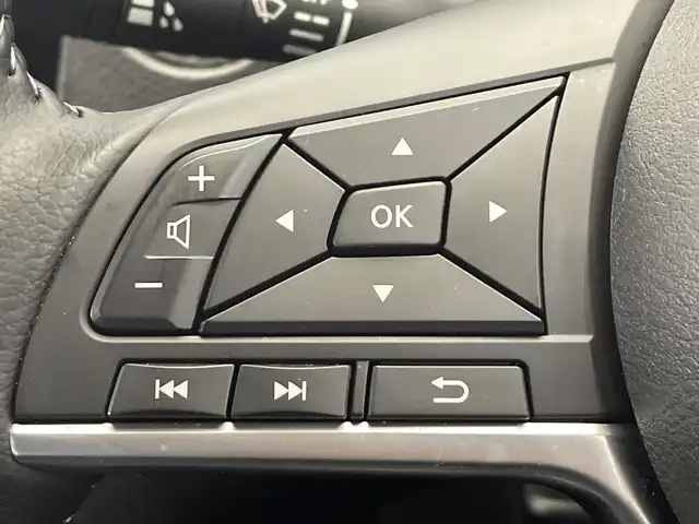 日産 エクストレイル 20Xi 栃木県 2020(令2)年 3.7万km アズライトブルー 純正ナビ/（CD/DVD/Bluetooth/フルセグTV/MSV/AUX）/バックカメラ/アラウンドビューカメラ/エマージェンシーブレーキ/プロパイロット/前後コーナーセンサー/ETC/前後ドライブレコーダー/全席シートヒーター/レザーシート(合皮)/LEDへッドライト/純正15インチAW/純正風呂マット/スマートルームミラー/スマートキー/プッシュスタート