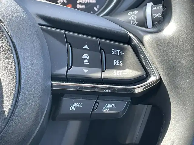 マツダ ＣＸ－５ 20S プロアクティブ 香川県 2019(令1)年 2.5万km ソウルレッドクリスタルM 登録時走行距離24391km/純正SDナビ/（Bluetooth/フルセグTV/DVD/USB）/360°ビューモニター/衝突軽減ブレーキ/レーダークルーズコントロール/前後コーナーセンサー/レーンキープアシスト/ブラインドスポットモニター/ヘッドアップディスプレイ/運転席パワーシート/前席シートヒーター/パワーバックドア/革巻きステアリング/ステアリングヒーター/ステアリングスイッチ/電動パーキングブレーキ/オートブレーキホールド/オートライト/LEDヘッドライト/ETC/純正17インチアルミホイール/純正フロアマット/トノカバー/オート開閉機能付き電動格納ミラー（ウィンカー付き）/ISOFIX/スペアキー/取扱説明書/整備記録簿