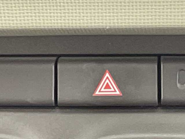 トヨタ パッソ プラスハナ Cパッケージ 群馬県 2011(平23)年 4.9万km キナコメタリック 純正SDナビ　バックカメラ　ワンセグＴＶ　キセノンヘッドライト　フォグランプ　エアコン　純正フロアマット　ヘッドライトリベライザー　リモコンキー　盗難防止装置　電動格納ミラー　ＡＢＳ　禁煙車