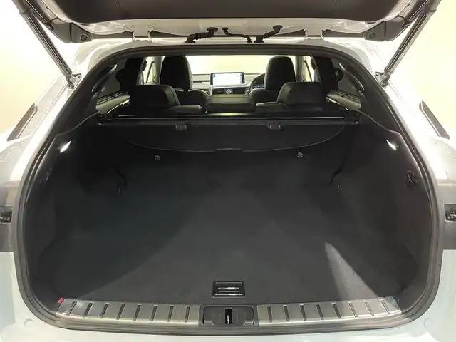 レクサス ＲＸ 300 Fスポーツ 愛知県 2020(令2)年 4.9万km ホワイトノーヴァガラスフレーク ムーンルーフ　/Ｆスポーツ専用２０インチＡＷ　/三眼フルＬＥＤヘッドライト　/ＨＵＤ　/黒革シート　/全席シートヒーター　/前席エアシート　/レクサスセーフティプラス　/純正ナビ　/Ｂｌｕｅｔｏｏｔｈ　/３６０度カメラ/フルセグTV/ETC２．０/プッシュスタート/アイドリングストップ/ウィンカーミラー