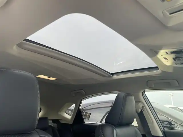 レクサス ＮＸ 200t バージョンL 香川県 2015(平27)年 3万km ソニッククォーツ 純正ナビ/→AM/FM/CD/DVD/Bluetooth/フルセグTV/サンルーフ/シートヒーター/エアシート/レーダークルーズコントロール/レーンキープアシスト/衝突軽減ブレーキ/ハンドルヒーター/バックカメラ/コーナーセンサー/パワーバックドア/パワーシート/メモリーシート/三眼LEDヘッドライト/レザーシート/ステアリングスイッチ/スマートキー/スペアキー×1/プッシュスタート/純正フロアマット/パドルシフト
