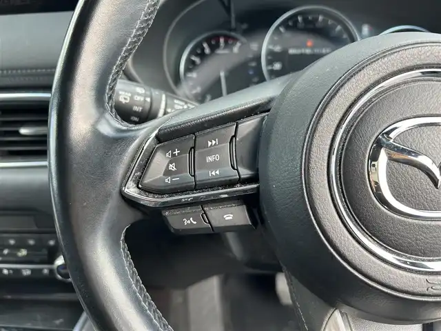 マツダ ＣＸ－８ 25S Lパッケージ 広島県 2021(令3)年 9万km ジェットブラックマイカ ワンオーナー/衝突軽減ブレーキ/サンルーフ/純正ナビ・地デジＴＶ/Bluetooth/純正USB端子/ＢＯＳＥスピーカー/全方位カメラ/黒レザーシート/シートヒーター（前席・2列目）/エアシート（前席）/パワーバックドア/クルーズコントロール/アクティブドライビングディスプレイ/革巻きステアリング/ステアリングヒーター/アクティブドライビングディスプレイ/ブラインドスポットモニター/LEDヘッドライト/純正19インチアルミ/革巻きステアリング/ステアリングヒーター/スマートキー/前後ドライブレコーダー/コーナーセンサー/電格ウィンカーミラー/ETC2.0/スペアキー（スマートキー）/純正フロアマット/保証書/取扱説明書