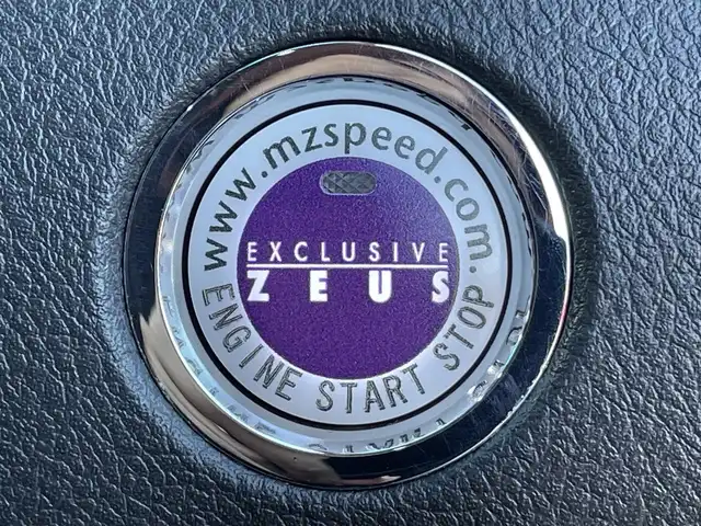 トヨタ アルファード 240S タイプゴールド 山梨県 2013(平25)年 11.5万km ホワイトパールクリスタルシャイン ALPINE製ナビ/ALPINE製フリップダウンモニター/CD/DVD/Bluetooth/SD/フルセグTV/バックカメラ/ETC/両側電動スライドドア/電動リアゲート/ステアリングスイッチ/クルーズコントロール/スペアキー/取扱説明書/保証書/社外マフラー/ローダウン/冬タイヤ純正ホイール付き車載（235/50/18）