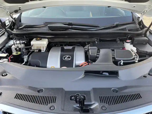 レクサス ＲＸ 450h Fスポーツ 兵庫県 2016(平28)年 5.2万km ホワイトノーヴァガラスフレーク /OP パノラマルーフ（チルト&アウタースライド式）//OP マークレビンソンプレミアムサウンド//OP パノラミックビューモニター//OP インテリジェントクリアランスソナー//OP RCTA//OP BSM//OP ルーフレール//OP 後席シートヒーター//OP 後席パワーシート（電動リクライニング/格納）//純正ナビ（12.3インチ）//地デジ/DVD/BT/USB/AUX//ステアリングリモコン（ステアリングヒーター付）//フルカラーヘッドアップディスプレイ//黒本革シート（電動/ヒーター/ベンチレーション）//3眼フルLEDヘッドランプ//シーケンシャルターンランプ//LEDフォグランプ//ビルトインETC//純正エンジンスターター//レーダークルーズコントロール//レーンキープアシスト//プリクラッシュセーフティ//オートマチックハイビーム