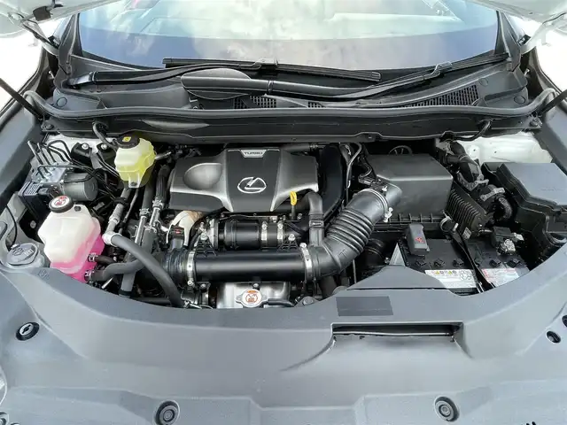 レクサス ＲＸ 300 Fスポーツ 滋賀県 2020(令2)年 1.4万km ホワイトノーヴァガラスフレーク ワンオーナー/サンルーフ/純正12.３型ナビ/・Bluetooth/フルセグ/・CD/DVD/USB/アラウンドビューモニター/革巻きステアリング/ステアリングリモコン/パドルシフト/ステアリングヒーター/ETC2.0/前方ドライブレコーダー/レーダークルコン/パワーバックドア/前席パワーシート（メモリ機能付き）/前席ベンチレーション/全席シートヒーター/三眼LEDヘッドライト/フォグライト/プリクラッシュセーフティ/ブラインドスポットモニター/ヘッドアップディスプレイ/スマートキー