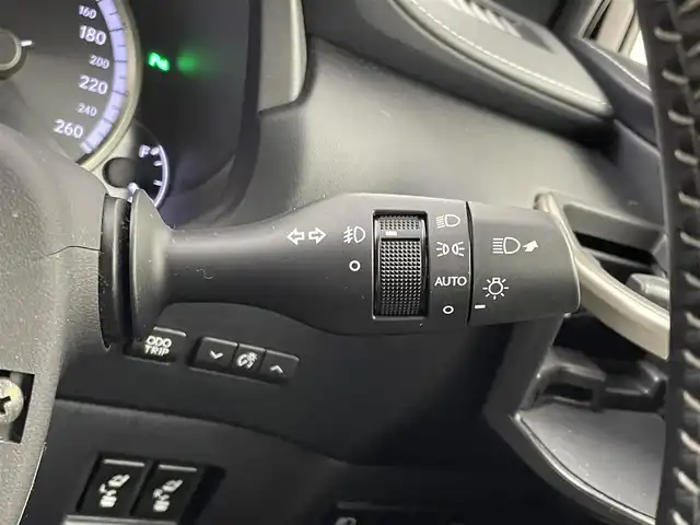 レクサス ＮＸ 300 Fスポーツ 埼玉県 2018(平30)年 3.3万km オレンジ メーカーナビ　パノラマルーフ　白革シート　バックカメラ　ＬＥＤライト　レーダークルーズ　シートヒーター　ベンチレーション　ステアリングヒーター　コーナーセンサー　電動リアゲート　ＥＴＣ２．０　ドラレコ