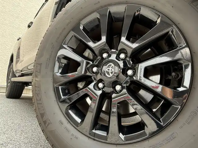 トヨタ ランドクルーザー プラド TX Lパッケージ ブラックED 滋賀県 2020(令2)年 5.3万km ブラッキッシュアゲハガラスフレーク ワンオーナー/純正SDナビ/フルセグテレビ/バックカメラ/ウィンカーミラー/クルーズコントロール/プッシュスタート/ETC/ルーフレール/D＋N席シートヒーター/D＋N席エアシート/Bluetooth