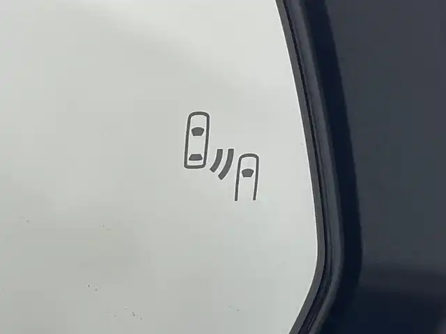 トヨタ アルファード Z 大阪府 2024(令6)年 1万km プラチナホワイトパールマイカ トヨタチームメイト アドバンスドパーク 左右独立ムーンルーフ 黒革 モデリスタ 14incナビTV 360カメラ 後席モニター デジタルインナーミラー パワーシート/ヒーター/エアコン 電動リアゲート レーダーC 衝突軽減B