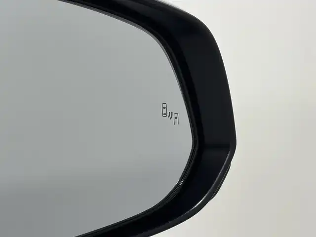 トヨタ アルファード Z 大阪府 2024(令6)年 0.7万km プラチナホワイトパールマイカ 純正ナビTV 360カメラ 後席モニター 黒革シート パワーシート/ヒーター/エアコン 電動リアゲート ハンドルヒーター 衝突軽減 レーダーC BSM クリアランスソナー 置き型充電 100V電源