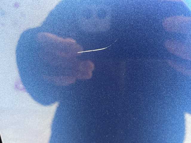 スズキ イグニス ハイブリッド MZ 埼玉県 2017(平29)年 3.6万km ブーストブルーパールメタリック セーフティサポート/メーカーメモリーナビ/　　CD/BT/USB/フルセグ/アラウンドビューモニター/クルーズコントロール/LEDヘッドライト/シートヒーター/純正16インチアルミホイール/ETC/スマートキー/禁煙車