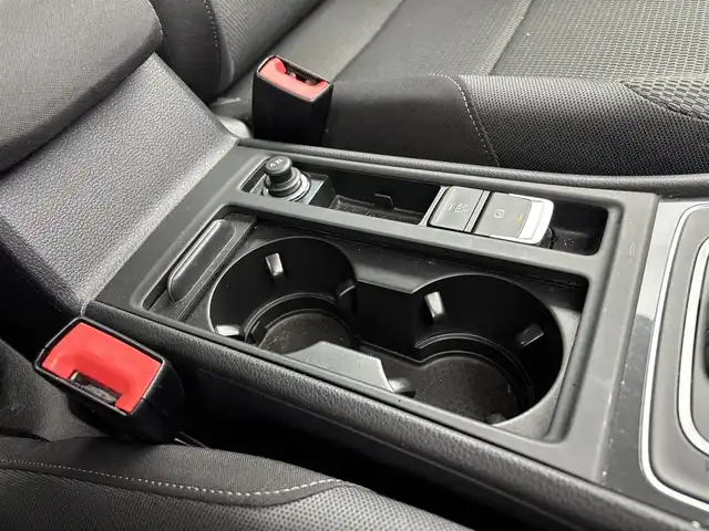 フォルクスワーゲン ゴルフ TSIコンフォートライン 富山県 2019(平31)年 4.4万km 赤 純正ナビ（AM/FM/CD/DVD/USB/SD/AUX/BT）/フルセグTV/バックカメラ/アダプティブクルーズコントロール/衝突被害軽減ブレーキ/レーンキープアシスト/LEDヘッドライト/オートライト/純正１７インチAW/ビルトインETC2.0/スマートキー×２/プッシュスタート/社外フロアマット/取扱説明書