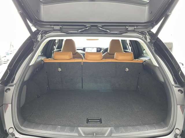 レクサス ＵＸ 250h バージョンC 兵庫県 2019(平31)年 5.6万km グラファイトブラックガラスフレーク ・Lexus Safety System ＋/・プリクラッシュセーフティ/・レーントレーシングアシスト/・オートマチックハイビーム/・アダプティブハイビーム/・ロードサインアシスト/・先行車発進告知/・ブラインドスポットモニター/・パノラミックビューモニター/・3眼LEDヘッドライト/・スマートエントリー/・ヘッドアップディスプレイ/・10.3インチワイドディスプレイ/・純正ナビ/CD/DVD/BT/Miracast/TV/・ビルトインETC2.0/・革シート/・前席シートヒーター/・前席パワーシート/・パワーバックドア/・TRDエアロ/・前後ドライブレコーダー/・純正17インチアルミホイール/・パーキングサポートブレーキ