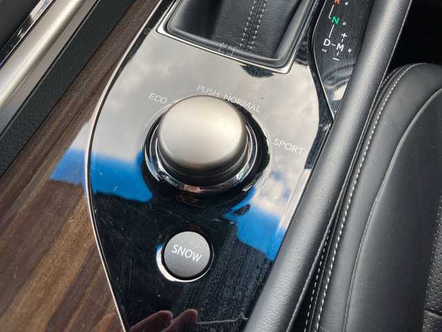 レクサス ＧＳ 250 Iパッケージ 愛媛県 2012(平24)年 9.7万km スターライトブラックガラスフレーク メーカーオプションナビ/・CD/DVD/フルセグTV/MSV/Bluetooth/バックカメラ/クルーズコントロール/パドルシフト/クリアランスソナー/オートブレーキホールド/黒革シート/・D/Nパワーシート/・Dメモリーシート/・D/Nシートヒーター/・D/Nエアーシート/ステアリングヒーター/リア電動サンシェード/ビルトインETC/HIDオートライト/純正アルミホイール