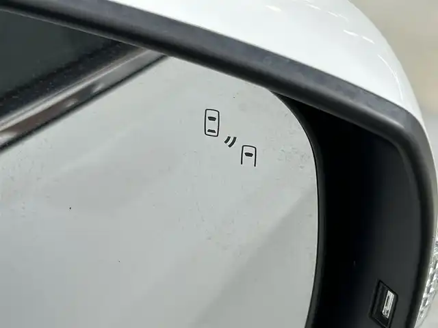 スバル フォレスター S－リミテッド 道央・札幌 2017(平29)年 5.6万km クリスタルホワイトP ・４WD/・純正SDナビゲーション（CN-LR720D）/　CD/DVD/SD/BT/フルセグ/・ビルトインETC/・純正ドライブレコーダー（前方録画）/・メモリーハイトパワーバックドア/・ブラインドスポットモニター/・レーダークルーズコントロール/・横滑り防止装置/・アイサイト/・レーンキープアシスト/・前席パワーシート/・ハーフレザーシート/・純正フロアマット/・全席シートヒーター/・LEDヘッドライト/・オートライト/・MTモード付AT/・パドルシフト/・ヒルディセントコントロール（X-MODE）/・ステアリング連動ヘッドランプ（SRH）/・スマートキー/・プッシュスタート/・純正AW18インチ＋夏タイヤ/・保証書あり/・取説あり/・ドアバイザー/・電動格納ウィンカーミラー/・ステアリングリモコン/・ラゲッジマット