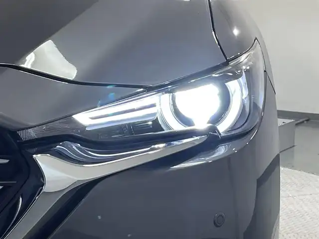 マツダ ＣＸ－８ XD プロアクティブ 愛知県 2018(平30)年 5.2万km マシーングレープレミアムM 純正8インチナビ/（Bluetooth/AM/FM/フルセグTV/Carplay）/電動リアゲート/ブラインドスポットモニター/シートヒーター/フリップダウンモニター/衝突軽減ブレーキ/アラウンドビューモニター/レーダークルーズコントロール/LEDヘッドライト/ETC/ドライブレコーダー/メモリ機能付きパワーシート/ステアリングヒーター/コーナーセンサー/ルーフレール/パーキングアシスト/スマートキー/純正19インチAW