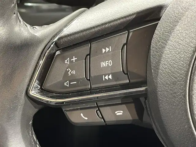 マツダ ＣＸ－８ XD プロアクティブ 愛知県 2018(平30)年 5.2万km マシーングレープレミアムM 純正8インチナビ/（Bluetooth/AM/FM/フルセグTV/Carplay）/電動リアゲート/ブラインドスポットモニター/シートヒーター/フリップダウンモニター/衝突軽減ブレーキ/アラウンドビューモニター/レーダークルーズコントロール/LEDヘッドライト/ETC/ドライブレコーダー/メモリ機能付きパワーシート/ステアリングヒーター/コーナーセンサー/ルーフレール/パーキングアシスト/スマートキー/純正19インチAW