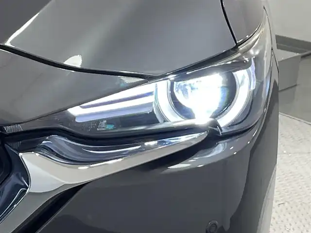 マツダ ＣＸ－８ XD プロアクティブ 愛知県 2018(平30)年 5.2万km マシーングレープレミアムM 純正8インチナビ/（Bluetooth/AM/FM/フルセグTV/Carplay）/電動リアゲート/ブラインドスポットモニター/シートヒーター/フリップダウンモニター/衝突軽減ブレーキ/アラウンドビューモニター/レーダークルーズコントロール/LEDヘッドライト/ETC/ドライブレコーダー/メモリ機能付きパワーシート/ステアリングヒーター/コーナーセンサー/ルーフレール/パーキングアシスト/スマートキー/純正19インチAW