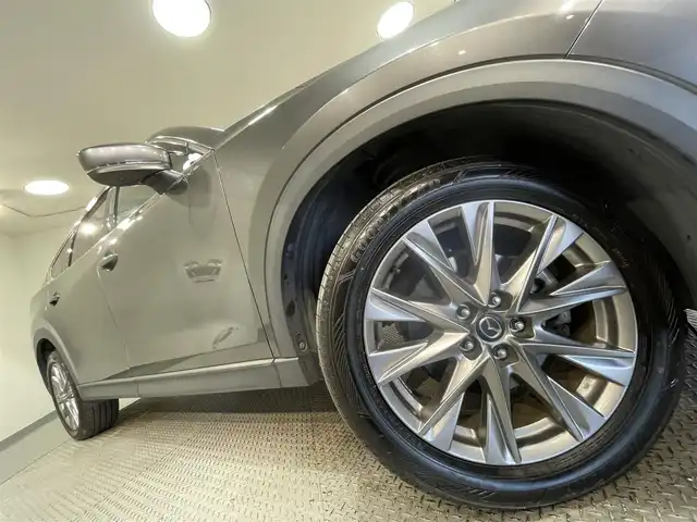 マツダ ＣＸ－８ XD プロアクティブ 愛知県 2018(平30)年 5.2万km マシーングレープレミアムM 純正8インチナビ/（Bluetooth/AM/FM/フルセグTV/Carplay）/電動リアゲート/ブラインドスポットモニター/シートヒーター/フリップダウンモニター/衝突軽減ブレーキ/アラウンドビューモニター/レーダークルーズコントロール/LEDヘッドライト/ETC/ドライブレコーダー/メモリ機能付きパワーシート/ステアリングヒーター/コーナーセンサー/ルーフレール/パーキングアシスト/スマートキー/純正19インチAW