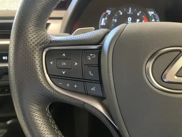 レクサス ＵＸ 200 Fスポーツ 熊本県 2019(令1)年 5万km ソニックチタニウム ・スマートキー/・プッシュスタート/・プリクラッシュセーフティ/・レーントレーシングアラート/・ブラインドスポットモニター/・パーキングサポートアラート/・道路標識認識/・先行車発進告知/・オートマチックハイビーム/・クルーズコントロール(追従式)/・アイボリー革シート/・前席パワーシート/・前席シートヒーター /・ハンドルヒーター /・純正メモリナビ/　【BD・Bluetooth・USB・SD・AUX・MSV】/・フルセグTV/・全方位カメラ/・ETC2.0/・ドライブレコーダー(前後録画)/・GPSレーダー/・パワーバックドア/・LEDヘッドランプ/・LEDフォグランプ/・純正マット/・純正バイザー