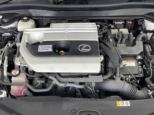 レクサス ＵＸ 250h Fスポーツ 岐阜県 2020(令2)年 4.2万km ホワイトノーヴァガラスフレーク サンルーフ/衝突被害軽減システム/レーンキープアシスト/レーダークルーズコントロール/ブラインドスポットモニター/クリアランスソナー/パノラミックビューモニター/パワーバックドア/純正ナビ/Bluetooth/フルセグTV/パワーシート（運転席/助手席）/シートヒーター（運転席/助手席）/レザーシート/ドライブレコーダー/スマートキー/プッシュスタート/スペアキー/革ステアリング/ステアリングヒーター/ステアリングスイッチ/LEDヘッドライト/ETC2.0/保証書/取扱説明書