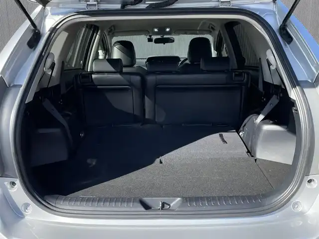 トヨタ プリウス α S ツーリングセレクション G’s 長野県 2015(平27)年 18.3万km シルバーM ＡＬＰＩＮＥ製ナビ（ＴＶ／ＢＴ／ＦＭ／ＣＤ／ＤＶＤ）/純正１８インチＡＷ　/Ｂカメラ　/ＬＥＤヘッドライト　/７人乗り　/ドラレコ