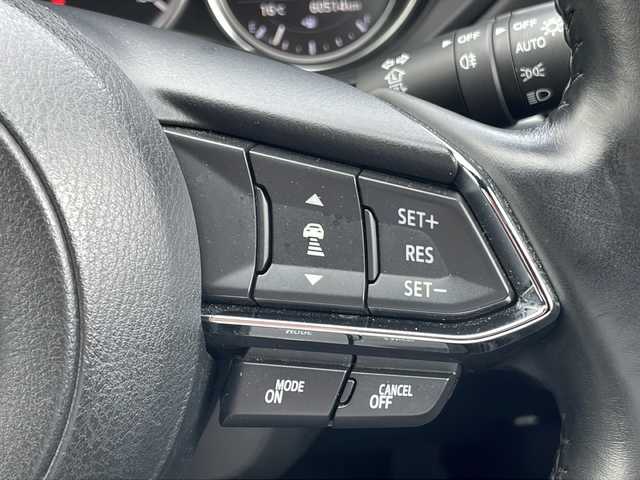 マツダ ＣＸ－８ XD プロアクティブ 山梨県 2019(令1)年 6.1万km ソウルレッドクリスタルM ４WD/純正SDナビ/ＣＤ/ＤＶＤ/ＢＴ/フルセグテレビ/全方位カメラ/衝突軽減ブレーキ/アイドリングストップ/レーダークルーズコントロール/プッシュスタート/パワーバックドア/ETC/純正LEDヘッドライト/シートヒーター/純正アルミホイール/ルーフレール
