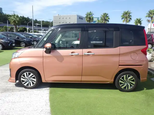 車両画像19