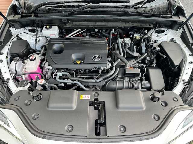 レクサス ＮＸ 350h バージョンL 茨城県 2023(令5)年 1.6万km パール 純正ＳＤナビ/（BT/AM/FM/CD/フルセグTV）　/クルーズコントロール　/ＥＴＣ２．０　/バックカメラ　/アラウンドビューモニター　/ブラインドスポットモニター　/電動リアゲート　/D席N席シートヒーター　/D席N席エアシート　/ステアリングヒーター/ドライブレコーダー前後/コーナーセンサー前後/パーキングアシスト/純正アルミホイール/純正フロアマット/置くだけ充電/スペアキー