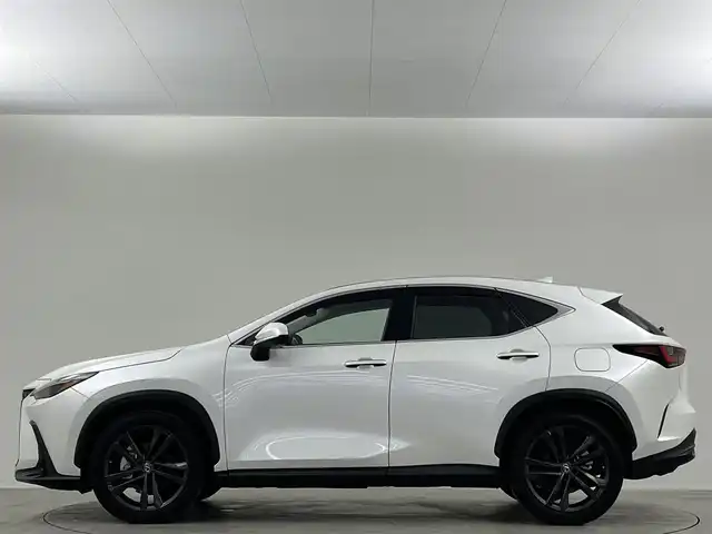 レクサス ＮＸ 350h バージョンL 埼玉県 2023(令5)年 1.6万km パール 黒革 /純正ナビ /DVD /360° /後席電動 /HUD /ETC /BSM /ベンチレーション /シートヒーター /ワイヤレス充電 /ステアリングヒーター /メモリー付パワーシート /ドライブレコーダー /電動リアゲート