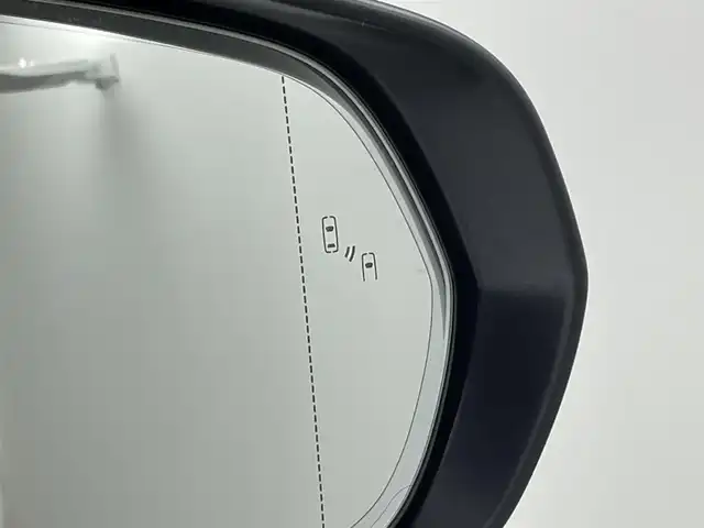 レクサス ＮＸ 350h バージョンL 埼玉県 2023(令5)年 1.6万km パール 黒革 /純正ナビ /DVD /360° /後席電動 /HUD /ETC /BSM /ベンチレーション /シートヒーター /ワイヤレス充電 /ステアリングヒーター /メモリー付パワーシート /ドライブレコーダー /電動リアゲート