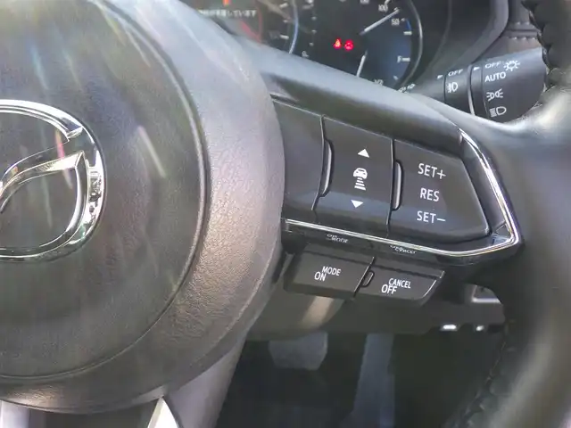 マツダ ＣＸ－８ XD プロアクティブ Sパッケージ 千葉県 2020(令2)年 3.3万km ソウルレッドクリスタルM 225/55R19/マツダコネクト8インチナビ/・AM/FM/CD/DVD/フルセグTV/・Bluetooth/AppleCarPlay/AndroidAuto/360度ビューモニター/ブラック本革シート/・前席パワーシート/シートヒーター/シートベンチレーション/・2列目左右シートヒーター/ステアリングヒーター/アドバンスドスマートシティブレーキサポート/スマートブレーキサポート/レーンキープアシストシステム/レーダークルーズコントロール/ブラインドスポットモニタリング/アダプティブLEDヘッドランプ/前後ドライブレコーダー/ルーフレール